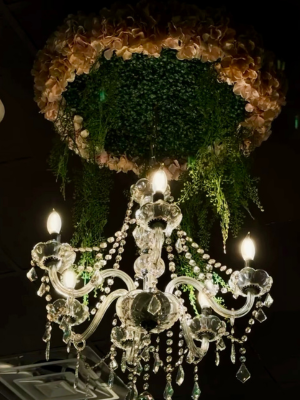 Elegant dining chandelier detail
